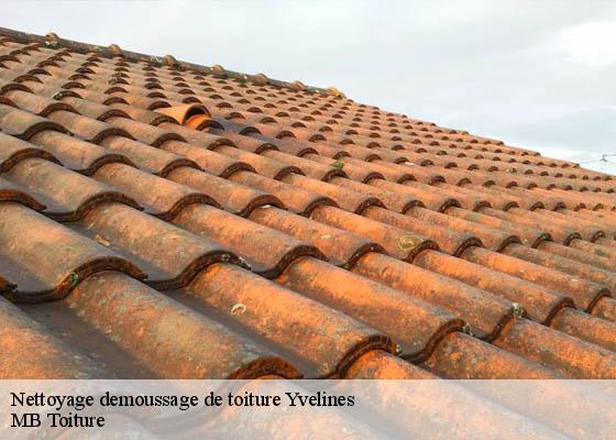 Nettoyage demoussage de toiture 78 Yvelines  K.Winter Couverture 78