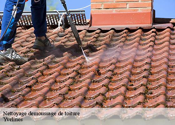 Nettoyage demoussage de toiture Yvelines 