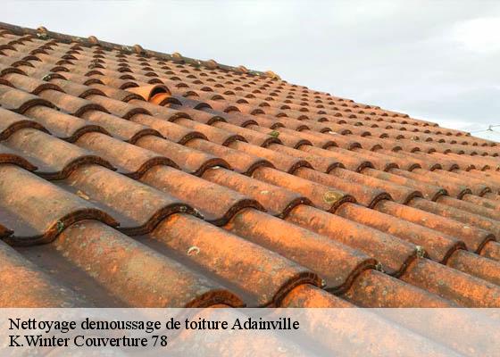 Nettoyage demoussage de toiture  adainville-78113 K.Winter Couverture 78