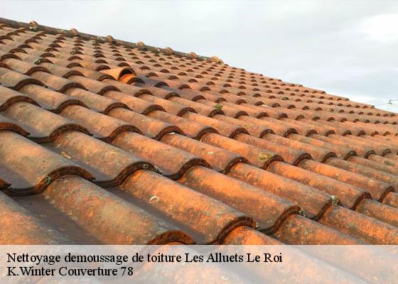 Nettoyage demoussage de toiture  les-alluets-le-roi-78580 K.Winter Couverture 78