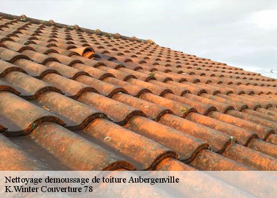 Nettoyage demoussage de toiture  aubergenville-78410 K.Winter Couverture 78