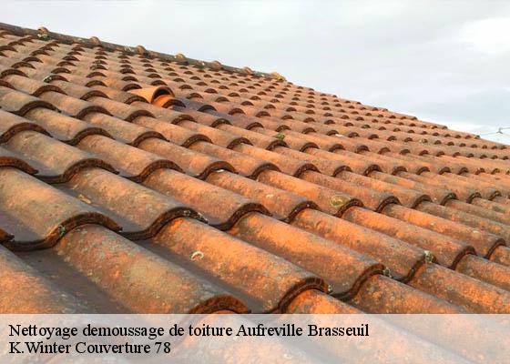 Nettoyage demoussage de toiture  aufreville-brasseuil-78930 K.Winter Couverture 78