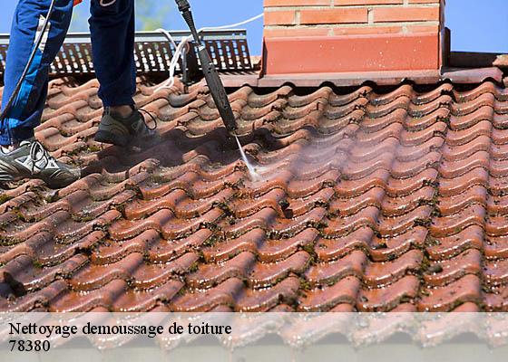 Nettoyage demoussage de toiture 78380