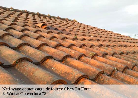 Nettoyage demoussage de toiture  civry-la-foret-78910 K.Winter Couverture 78