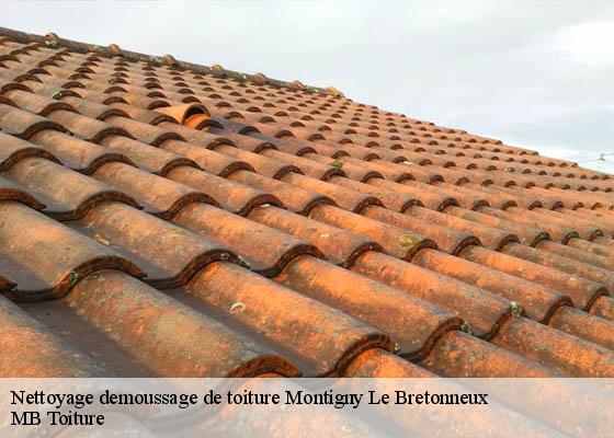 Nettoyage demoussage de toiture  montigny-le-bretonneux-78180 K.Winter Couverture 78