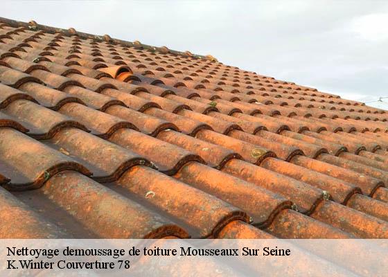 Nettoyage demoussage de toiture  mousseaux-sur-seine-78270 Artisan kenzo couvreur 78