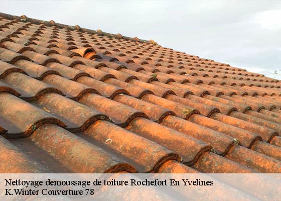 Nettoyage demoussage de toiture  rochefort-en-yvelines-78730 K.Winter Couverture 78
