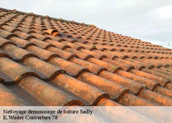Nettoyage demoussage de toiture  sailly-78440 K.Winter Couverture 78