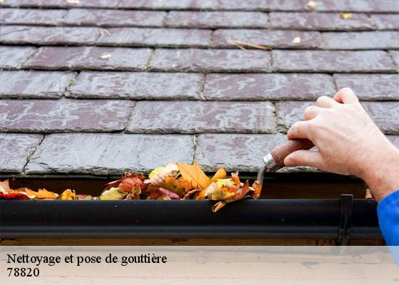 Nettoyage et pose de gouttière 78820