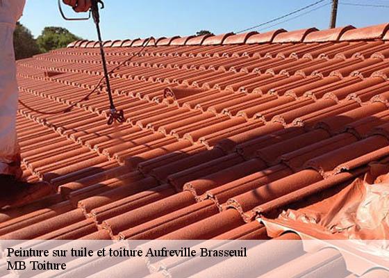Peinture sur tuile et toiture aufreville-brasseuil-78930 K.Winter Couverture 78