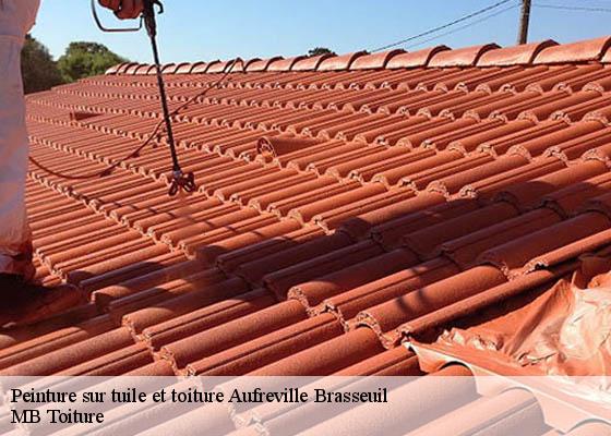 Peinture sur tuile et toiture  aufreville-brasseuil-78930 K.Winter Couverture 78