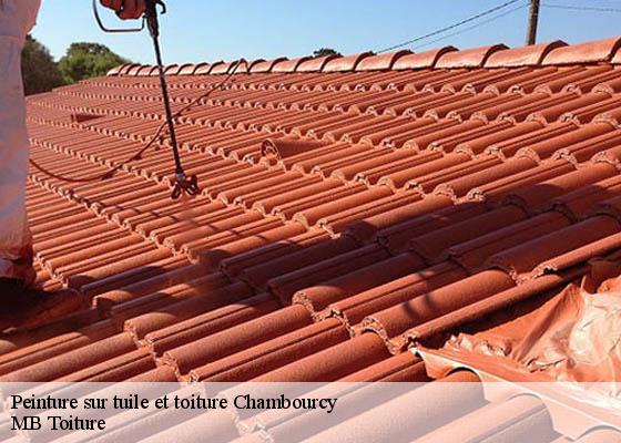 Peinture sur tuile et toiture  chambourcy-78240 K.Winter Couverture 78