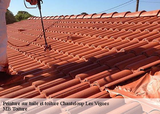 Peinture sur tuile chanteloup-les-vignes-78570