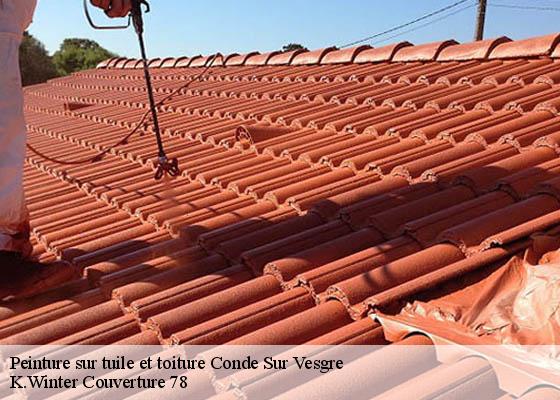 Peinture sur tuile et toiture  conde-sur-vesgre-78113 K.Winter Couverture 78