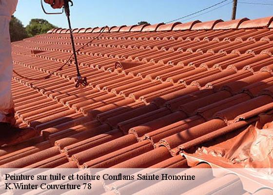 Peinture sur tuile et toiture  conflans-sainte-honorine-78700 K.Winter Couverture 78