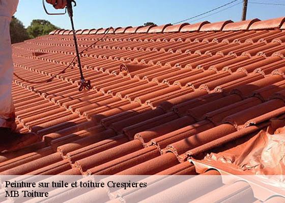 Peinture sur tuile et toiture crespieres-78121 K.Winter Couverture 78