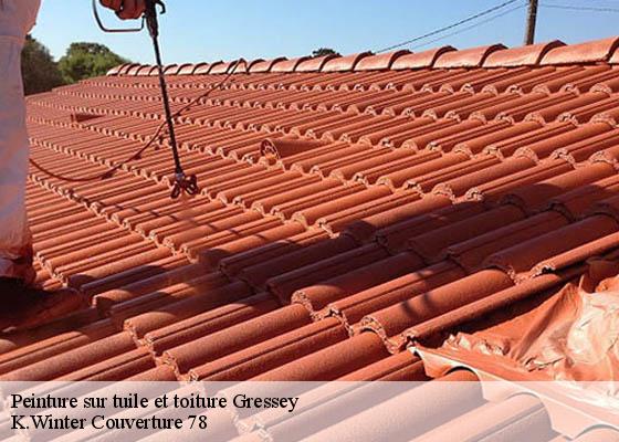 Peinture sur tuile et toiture  gressey-78550 K.Winter Couverture 78