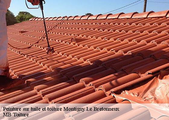 Peinture sur tuile et toiture montigny-le-bretonneux-78180 K.Winter Couverture 78
