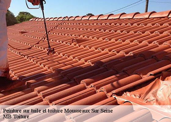 Peinture sur tuile et toiture  mousseaux-sur-seine-78270 K.Winter Couverture 78