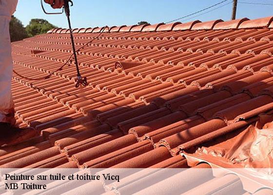Peinture sur tuile et toiture vicq-78490 K.Winter Couverture 78