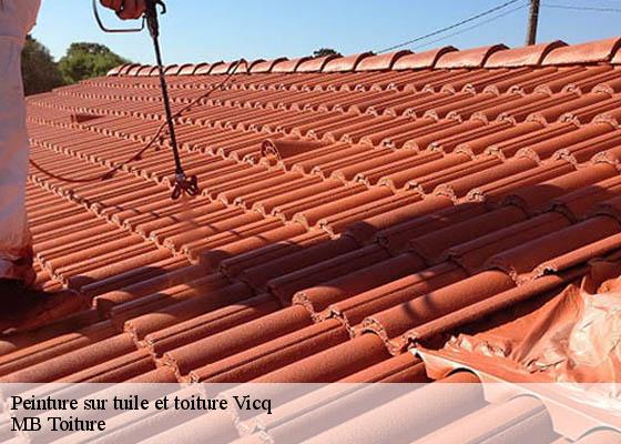 Peinture sur tuile et toiture  vicq-78490 K.Winter Couverture 78