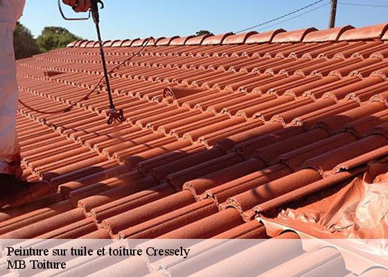 Peinture sur tuile et toiture cressely-78114 K.Winter Couverture 78