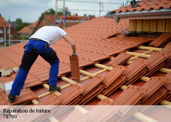 Réparation de toiture 78790