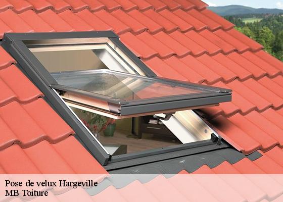 Pose de velux hargeville-78790 MB Toiture