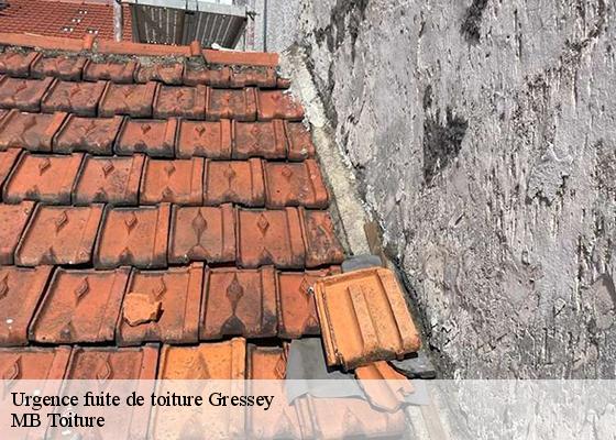 Urgence fuite de toiture gressey-78550 MB Toiture