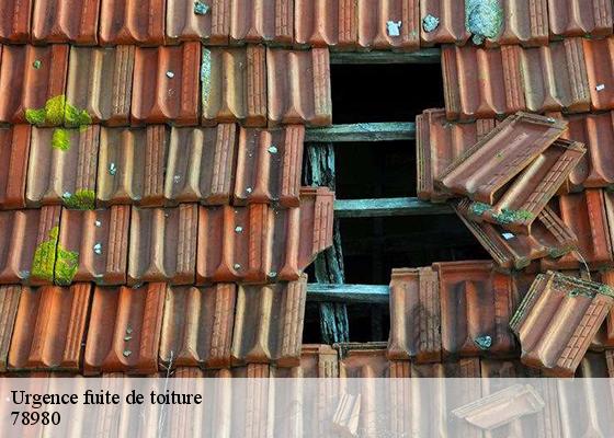 Urgence fuite de toiture 78980
