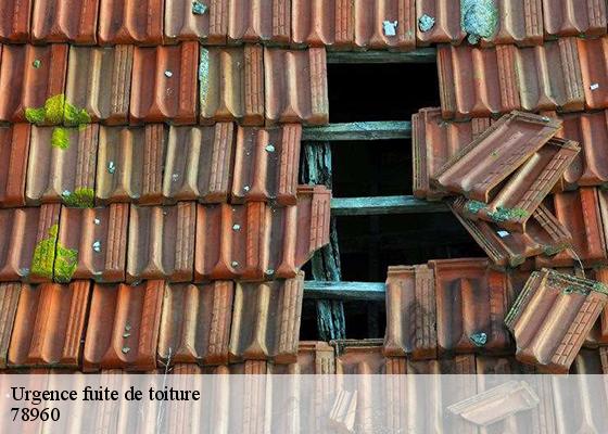 Urgence fuite de toiture 78960