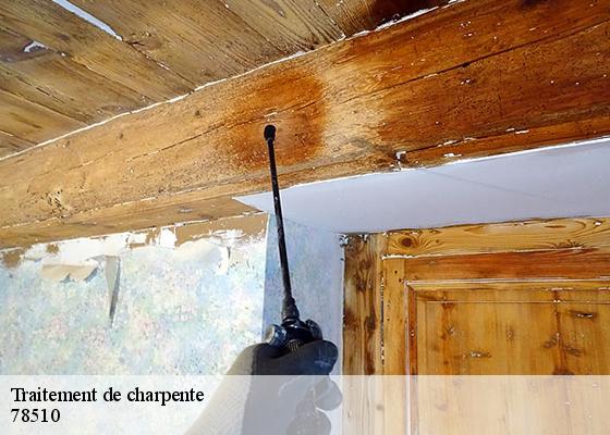 Traitement de charpente 78510