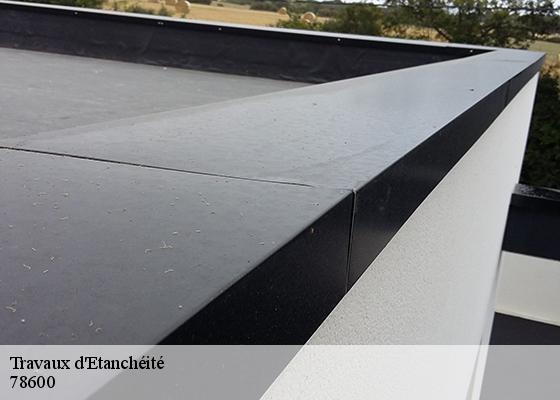 Travaux d'Etanchéité 78600